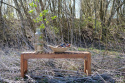 Alte Holzbank Vintage - Holz