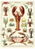 Plakat - Meeresfrüchte