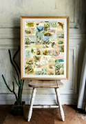 Plakat - Vintage Vögel