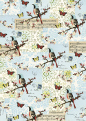 Poster - Vögel und Fauna