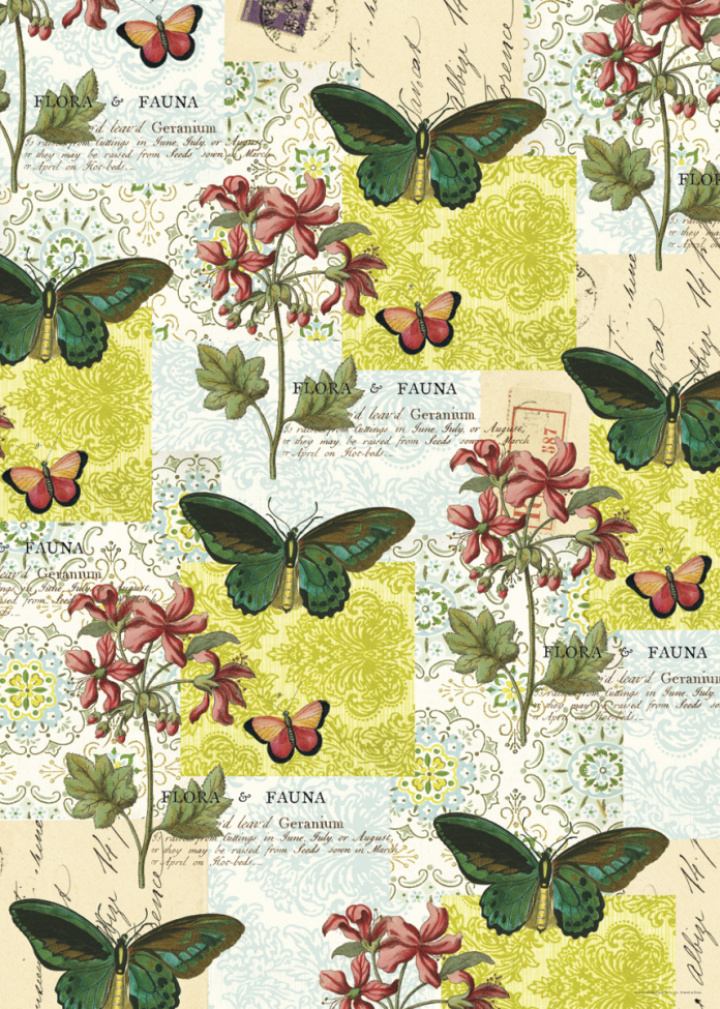 Plakat - Flora & Fauna