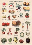 Poster - Gemüse und Obst