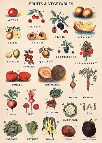 Poster - Gemse und Obst