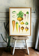 Poster - Gemüse