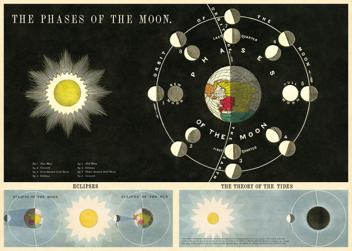 Poster - Mondsystem
