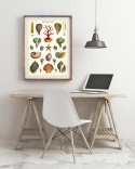 Plakat-Vintage Muscheln