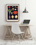Poster - Tulpen