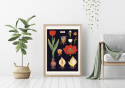 Poster - Tulpen