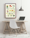 Plakat - Wildblumen