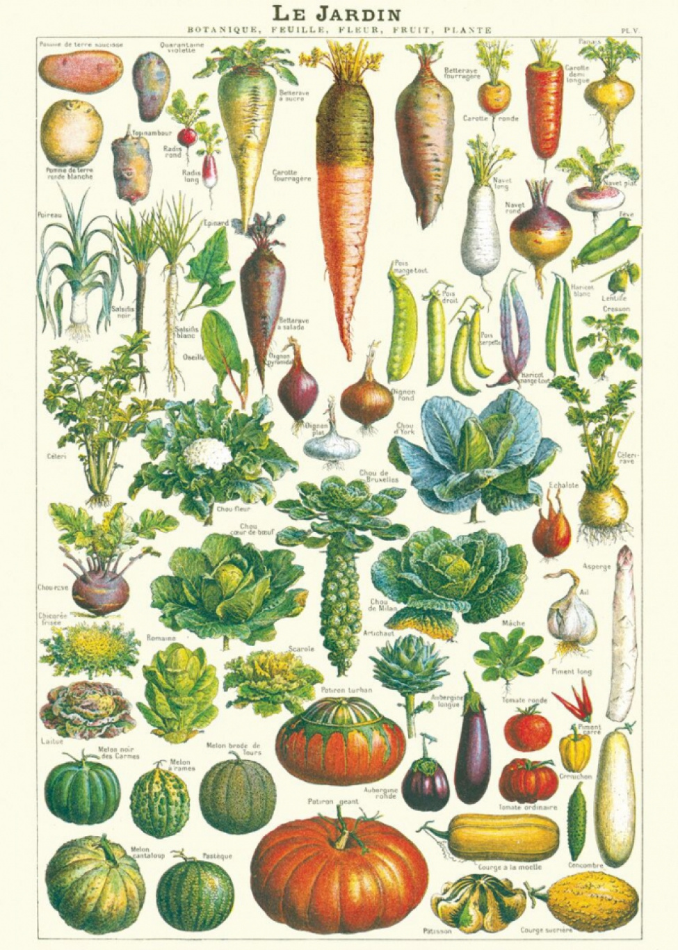 Plakat - Garten