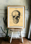 Plakat - Schädel