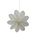 Adventsstern \'Daisy\' 60cm - Weiß