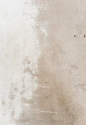 Wilton-Teppich \'Bornos\' 160x230cm – Grau/Beige