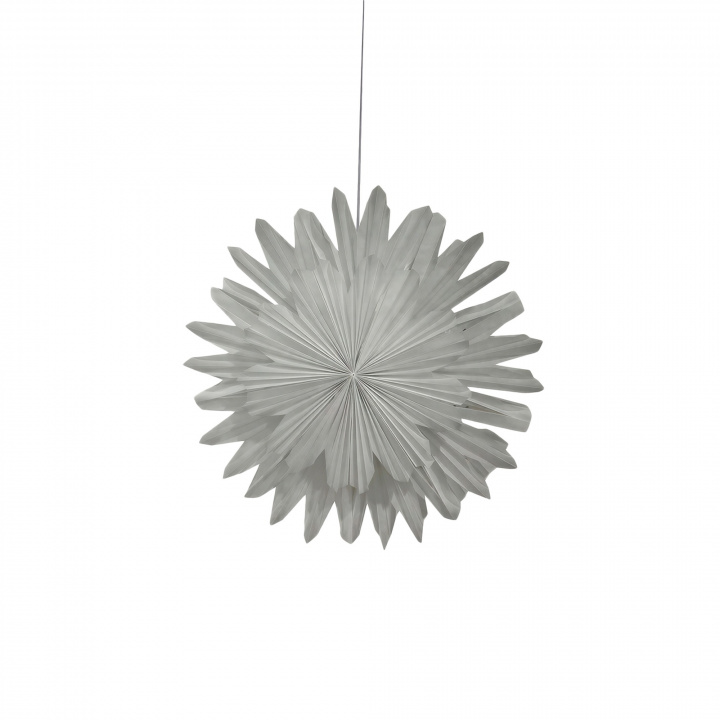 Adventsstern 'Lucia' 60cm - Weiß