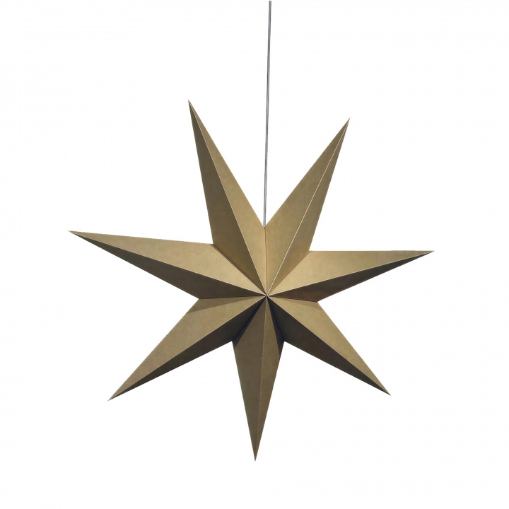 Adventsstern 'Sally' 60cm - Braun