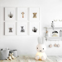 Plakat - Elefant