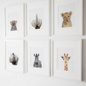 Plakat - Giraffe