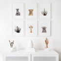 Plakat - Giraffe