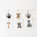 Plakat - Giraffe