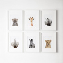 Plakat - Giraffe