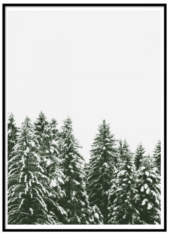 Plakat - Nordische Landschaft 2