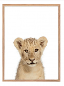 Plakat - Löwe