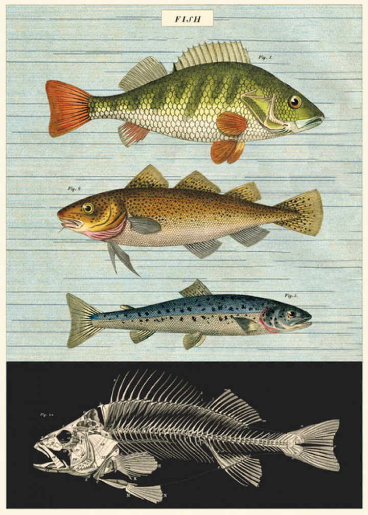 Plakat - Fisch 2