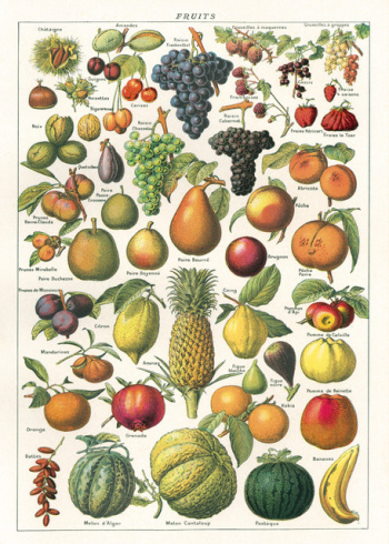 Poster - Obst 2