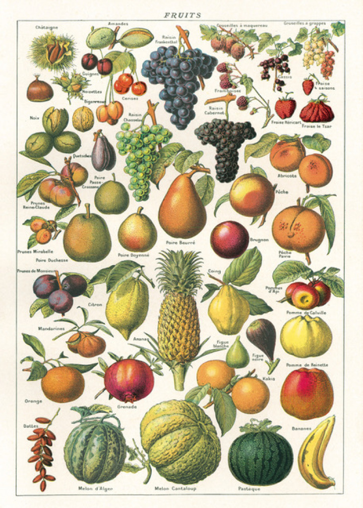 Plakat - Frucht 2